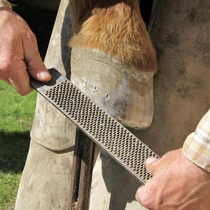 Hoof Rasp 14 inch, Carbon Steel Farrier File Tool for Easy Cleaning, Horseshoe File with Easy Grip for Cow, Horse, Goat and Pig