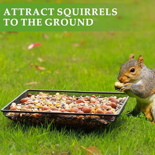 MIXXIDEA Ground Bird Feeder Tray 11x11 Inches, Metal Platform Mesh Seed Tray for Bird Feeders, Great Attracting Garden Yard Decoration for Wild Birds Squirrels Dove,1 Pack - size: 11x11 inches (1 pack)