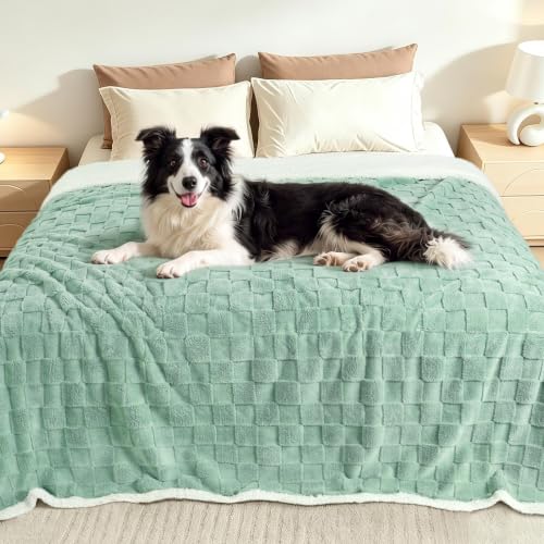 Luciphia Waterproof Dog Blanket, Reversible Fleece & Sherpa, Couch Cover - color: Mint Green, size: King (100x85 inch)