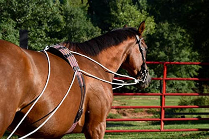 Leaders Training or Lungeing Aid for Horse - color: White