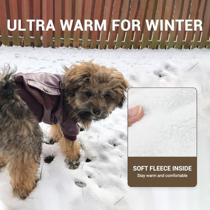 LESYPET Dog Leather Jacket for Small Dogs, Waterproof Dog Winter Jacket Puppy Coat with Fleece Lined, Ultra Warm Fur Collar Doggie Coat, Red M - color: Wine Red, size: Medium