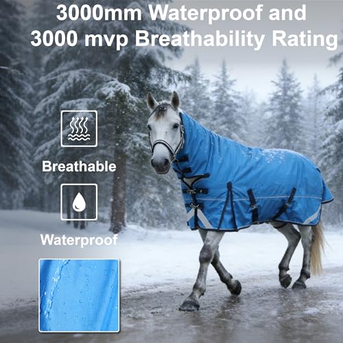 1680D Heavyweight Horse Blanket with 300g Insulation in Body and Hood, Full Neck Combo, Waterproof Breathable Insulated Winter Turnout Blanket Cyanblue 78 - size: 78"