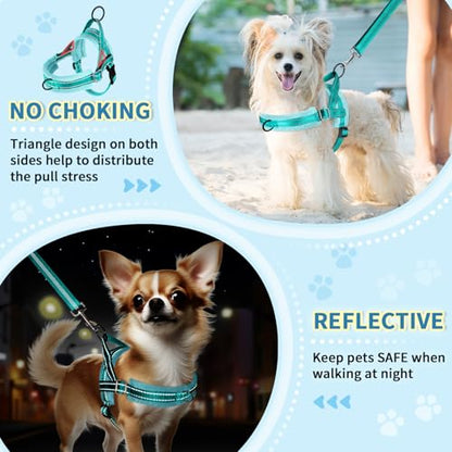 SlowTon No Pull Small Dog Harness and Leash Set with Front Clip | Soft Padded, Neck & Chest Adjustable, Lightweight, Anti-Twist, Puppy Vest Harness Pet Lead Combo for Small Medium Dog, TL XXS - color: Teal, size: XX-Small