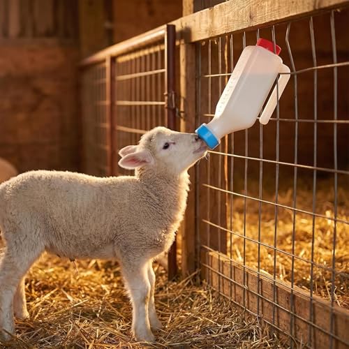 5 Pack 800ml Lamb Feeding Bottles