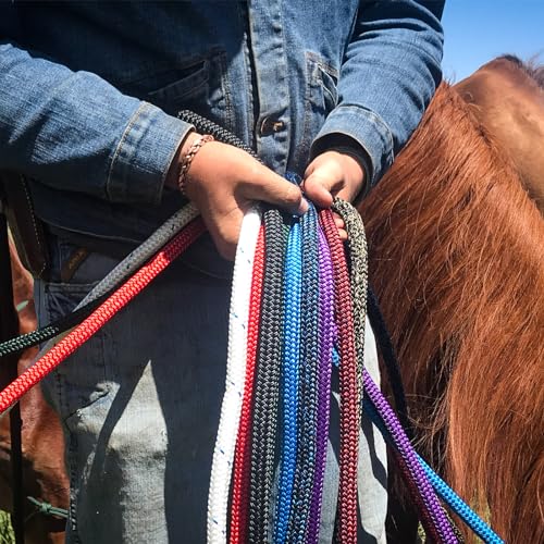 PARELLI 12 Foot Training Rope - Strong Everyday Use All-Purpose Horse Lead Rope with Loop & Latigo Popper | 9/16" Diameter Smooth Yachting Braid, Blue - color: Blue