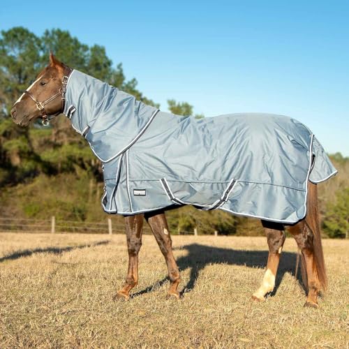 Jeffers Poplar Head Refuge 1200 Denier Turnout Blanket, Hamilton Blue, 87" – Waterproof & Breathable Horse Blanket, 240g Insulation, Adjustable Fit for Comfort & Safe Use, Durable Design - size: 87 in