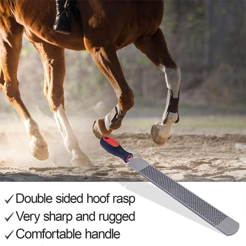 T12 Carbon Steel Horse hoof rasp 14 inch 8 inch Farrier Tool for Horse Goat Cow Donkey Animal Hooves rasp Tool (14 in) - color: 14 IN