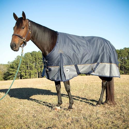 Jeffers Economy Plus Turnout Blanket with Standard Neck for Horses – 1200 Denier Waterproof Shell, 240g Polyfill Insulation - Breathable Weatherproof & Warm Equine Blankets, Navy & Gray – 78 inches - size: 78"