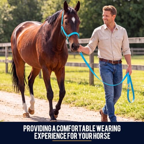 2 Pack Nylon Horse Halter with Reins Adjustable | Training, Show, Pony, Padded, Reinforced, Brass Snap, Equine Stable Supply - color: Turquoise