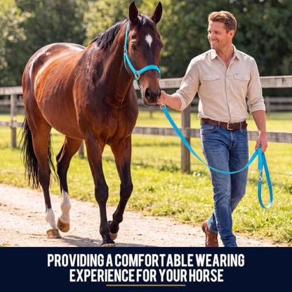 2 Pack Nylon Horse Halter with Reins Adjustable | Training, Show, Pony, Padded, Reinforced, Brass Snap, Equine Stable Supply - color: Turquoise