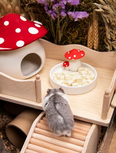 Niteangel Hamster Feeding & Water Bowls- Mushroom Ceramics Series Food Dish Feeding Bowls for Dwarf Syrian Hamsters Gerbils Mice Rats or Other Similar-Sized Small Pets (Feeding Bowl) (Pack of 2) - size: Feeding Bowl (Pack of 2)