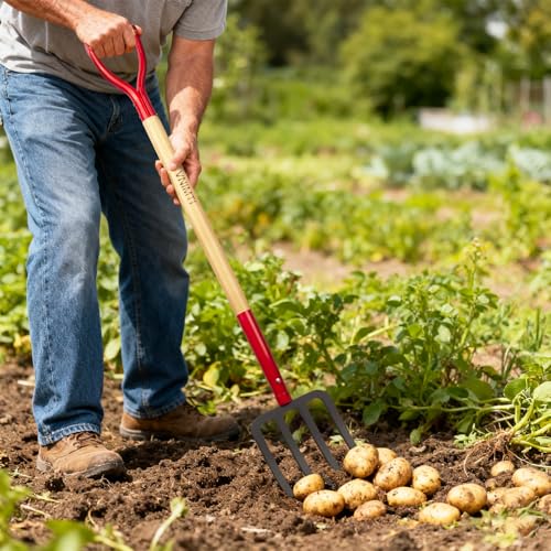 Garden Fork,4-Tine Spading Fork,Compost Fork,Steel Digging Fork,45Inch,Steel Y-Grip,Wooden Handle