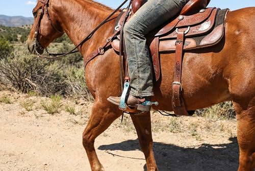 CHALLENGER Horse Western Black Engraved Rhinestone Barrel Racing Aluminum Show Stirrups 51179v - color: Turquoise, size: 4-3/4" Width, 4-3/4" Height