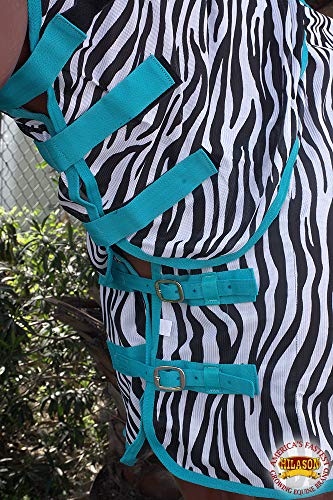 HILASON Horse Fly Sheet Breathable Mesh UV Protection Mosquito Bug Summer - color: Zebra with turquoise piping, size: 69 In