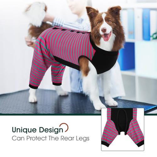 Kuoser Dog Recovery Suit with Anti Licking Rear Leg Sleeve, Rose M - color: Rose Strips, size: Medium (Back Length: 34cm / 13.38")