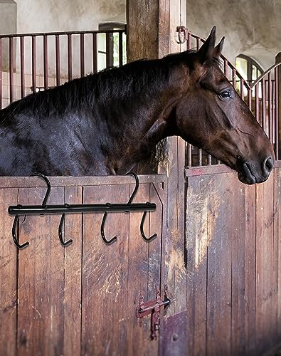 QWORK Steel Tack Rack with Swivel Hooks, 2 Pcs Portable Tack Hangers, 17" Horse Tack Holder