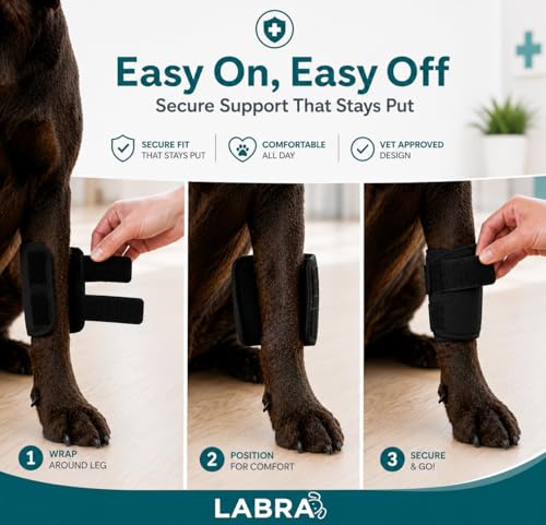 Labra Dog Front Leg Brace - Compression Wrap with Adjustable Straps - Dog Wrist Brace for Support - Leg Sleeve to Stop Licking - Aid in Wound Care and Recovery - Large/Extra Large (Pack of 2) - size: Large/Extra Large (Pack of 2)