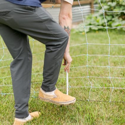 Electric Netting Fiberglass Posts (48" Double-Spike Fiberglass Posts - 5 Pack) - size: 48" Double-Spike Fiberglass Posts - 5 pack