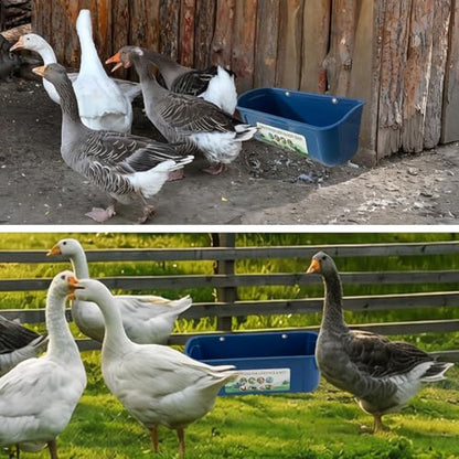 3 Pack 6 Quart Chicken Duck Feeder Trough, Blue - color: blue