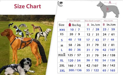 Tail Guard & Harness Set - Veterinary Dog Tail Protector & Injury Wrap, Size XXL - size: 2XL