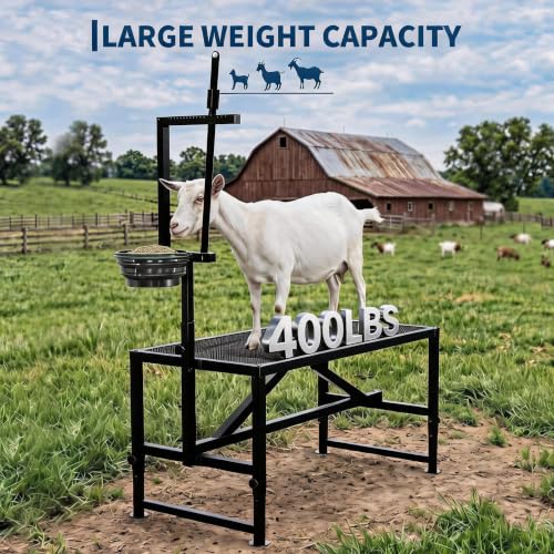 400LBS Goat Milking Stand with Feed Bin, 35" Adjustable Grooming Table - color: Black, size: 35 inch