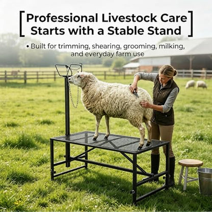 Goat Stand, 900 lbs Goat Milking Stand with 47 x 23 in Platform, 21 in to 33 in Adjustable Height, 42 in to 64.1 in Headpiece, Goat Trimming Stand for Grooming