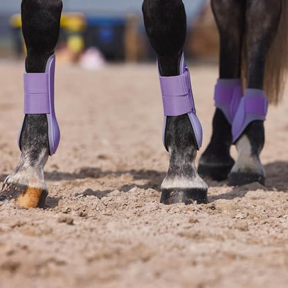 HORZE Adepto Open Front Tendon Boots | Durable Shell with Neoprene Lining - Languid Lavender Purple - Pony - color: Languid Lavender Purple, size: Pony