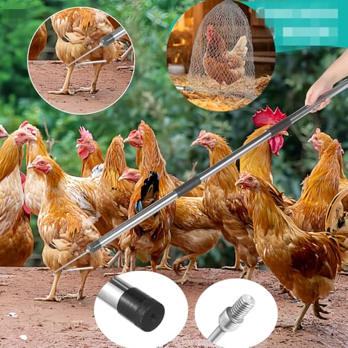Chicken Net Catcher,74" Adjustable Extension Pole Chicken Hook Catcher Kit | 74" Adjustable Stainless Steel Chicken Net with Leg Hook, Suitable for Chickens, Ducks, Fish, Birds & Small Livestock