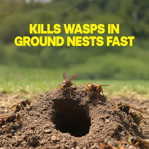 Raid Outdoor Wasp Ground Nest Killer, Dust Insecticide for Outside Household Use, Wasp Killer, Fast-Working and Odorless, 24 Oz