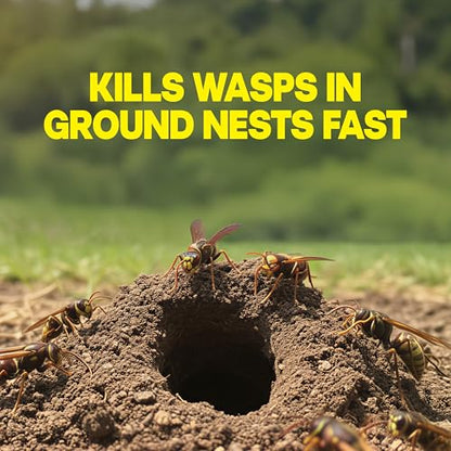 Raid Outdoor Wasp Ground Nest Killer, Dust Insecticide for Outside Household Use, Wasp Killer, Fast-Working and Odorless, 24 Oz