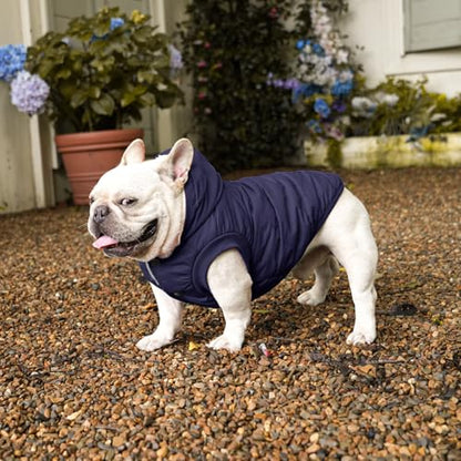 Vecomfy Warm Dog Coats with Hoodie,Winter Dog Jackets for Medium Dogs - color: Blue, size: Large