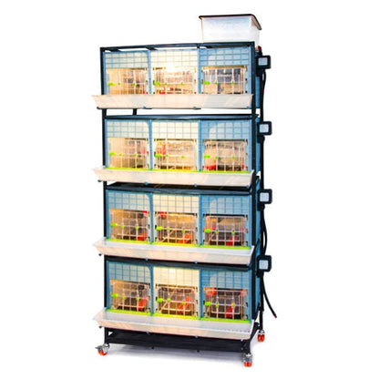 Hatching Time 15" Chick Brooders – Stackable & 2-Section Options, Automatic Heating, Easy-Clean Tray, Includes Feeders & Drinkers, Perfect for Quail, Chickens, Ducks & Baby Birds (4 Layer) - style: 3 Section, 4 Layer