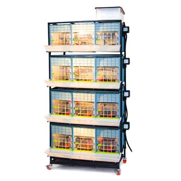 Hatching Time 15" Chick Brooders, Automatic Heating, 3 Section, 4 Layer - style: 3 Section, 4 Layer