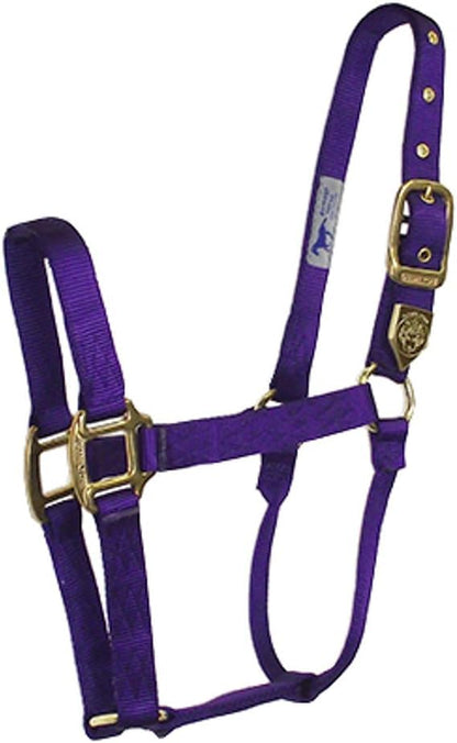 Hamilton Deluxe Horse Halter, 300-500 lbs, Purple - color: Purple, size: Yearling, 300-500lbs
