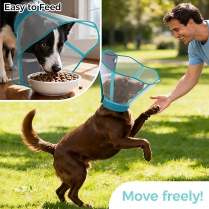 Dog Recovery Collar Pet Elizabethan Cone Collar - color: Blue-Green, size: Large