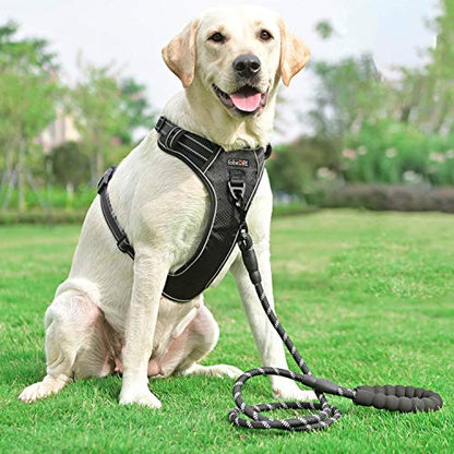 tobeDRI No Pull Dog Harness Adjustable Reflective Oxford Easy Control Medium Large Dog Harness with A Free Heavy Duty 5ft Dog Leash, Black, XL - color: Black, size: X-Large