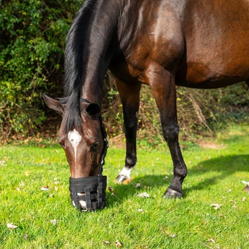 Best Friend Deluxe Grazing Muzzle with Attached Halter for Horses - Ventilated, Lightweight with Padded Noseband, Control Food Intake, Mini Size - size: Mini