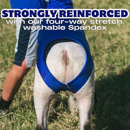 Show Pro Red Spandex Lamb Tube for Show Sheep & Lamb - Show Livestock Supplies: Sheep Covers & Blankets (Medium) - size: Medium