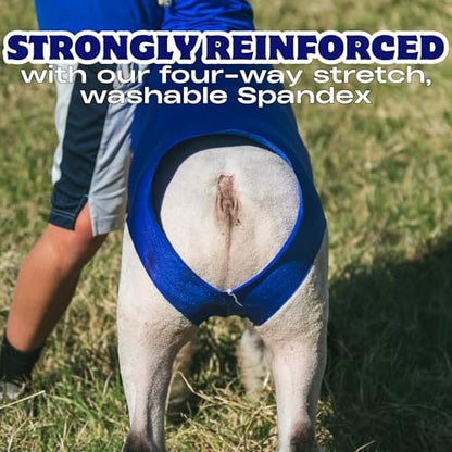 Show Pro Red Spandex Lamb Tube for Show Sheep & Lamb - Show Livestock Supplies: Sheep Covers & Blankets (Medium) - size: Medium