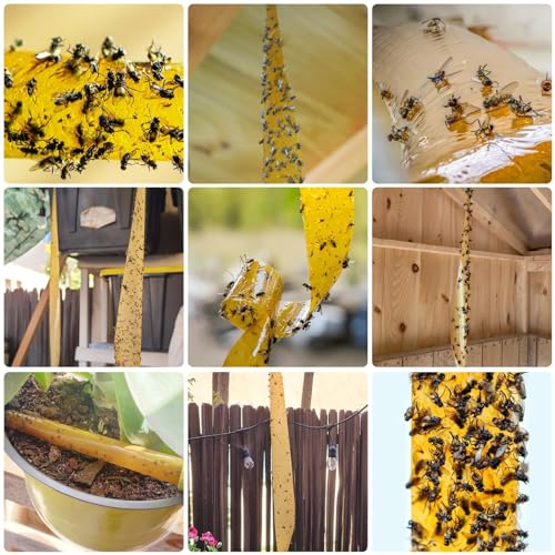 Outdoor Fly Trap Indoor Hanging 24pk, Sticky Fly Strips Tape Paper for Home - size: 24 pack