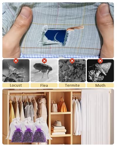 Aryiten 26 Cedar & Lavender Sachets for Closet, Clothes Storage - size: Pack of 26 cedar&lavender
