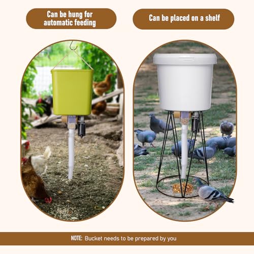 Automatic Chicken Feeder with Timer, Duck Feeder