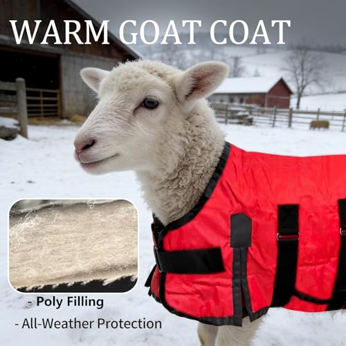 Goat Winter Blanket, Thicken Warm, Waterproof Goats Jacket, with Belly Wrap Adjustable Cold Weather Coat for Goats, Sheep, Calf, Pets&Livestock (Red, S)