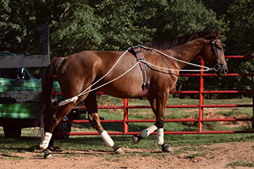 Leaders Training or Lungeing Aid for Horse - color: Brown