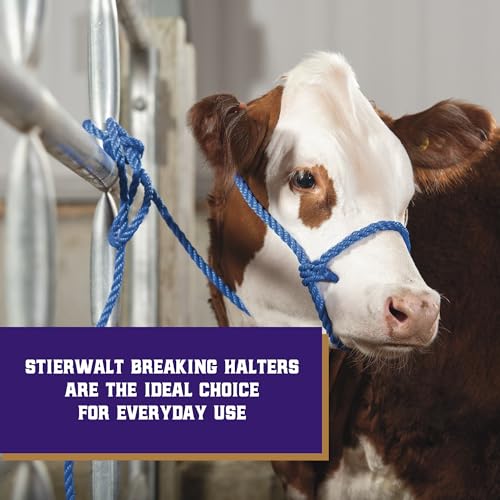 Weaver Livestock Poly Rope Breaking Cattle Halter, Adjustable, Modern Style Cow Calf Halter, Livestock Handling Equipment for Showing, Blue - color: Blue