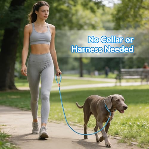 Mile High Life Heavy Duty Slip Lead No Pull Leash 6/5/4FT for Large Dogs - color: Blue, size: 5 Feet