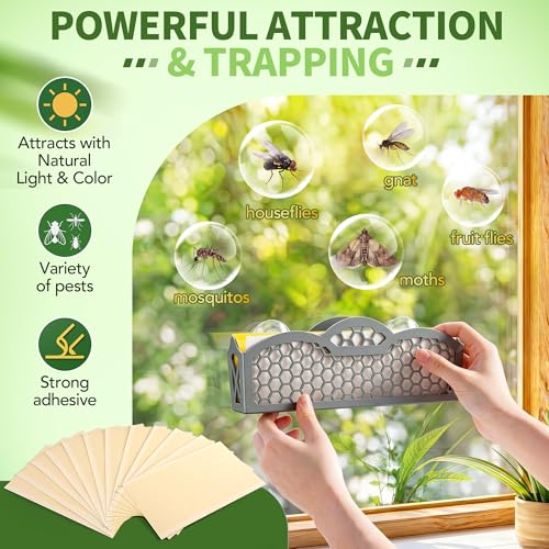 Window Fly Trap Refills, Compatible with Dr. Killigan's the Fly Inn Trap