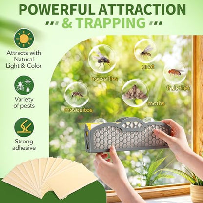 Window Fly Trap Refills, Compatible with Dr. Killigan's the Fly Inn Trap