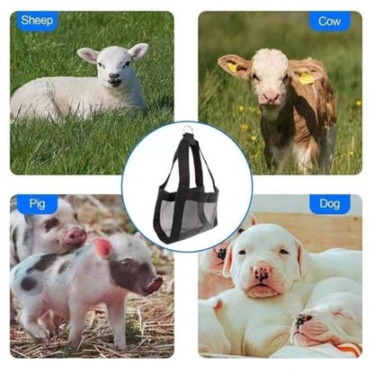 Calf Sling for Weighing Calf Sling for Weighing Little Animals Adjustable Livestock Harness Sling for Lambs Goats(Black)