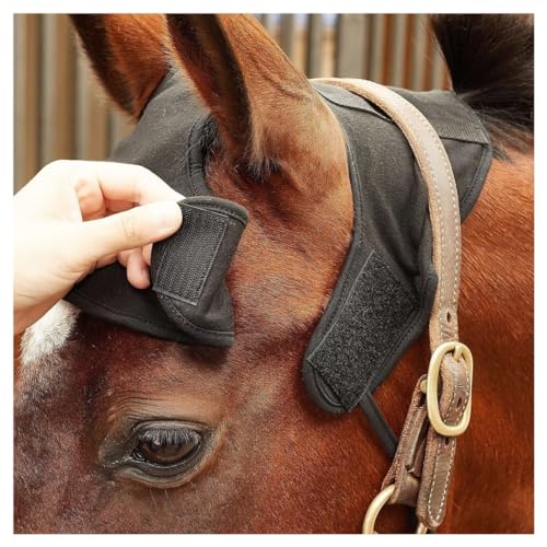 Back on Track Halter - size: Large